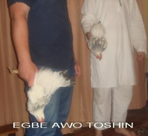odun_4