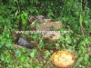 DSC00284