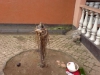 DSC00891